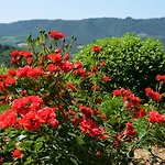 Il Poggiolo Di