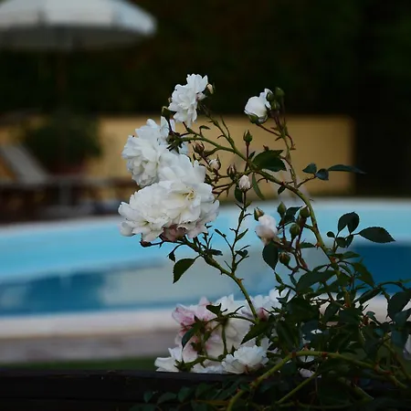 Casa rural Il Poggiolo Di *