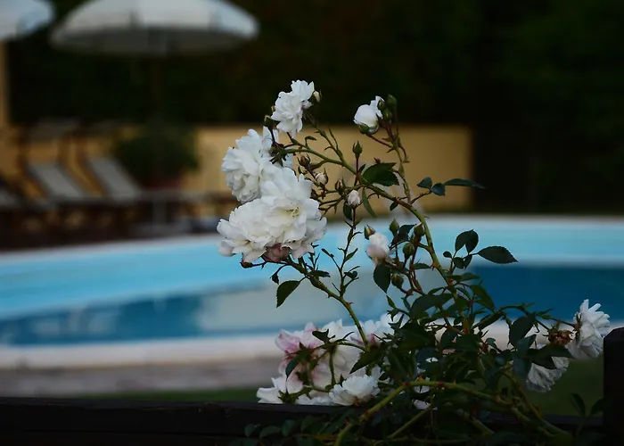 Casa di campagna Il Poggiolo Di *